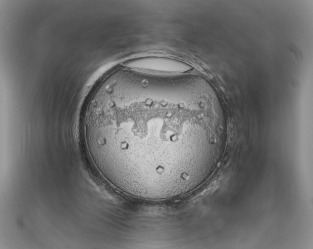 X0000111030200200907161331