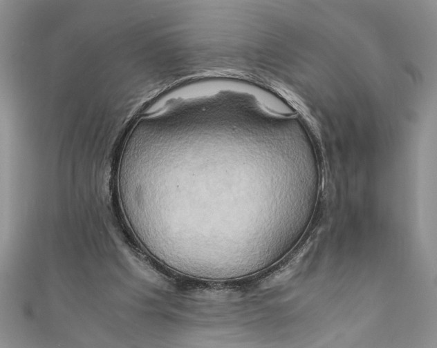 X0000111030201200907161331