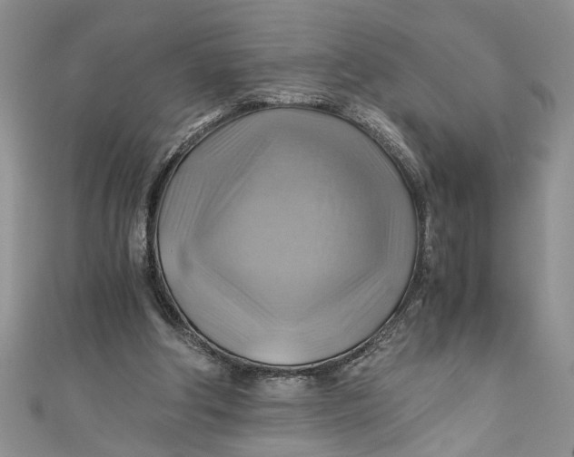 X0000111030202200907161331