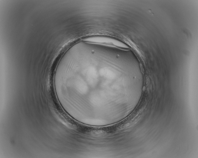 X0000111030203200907161331