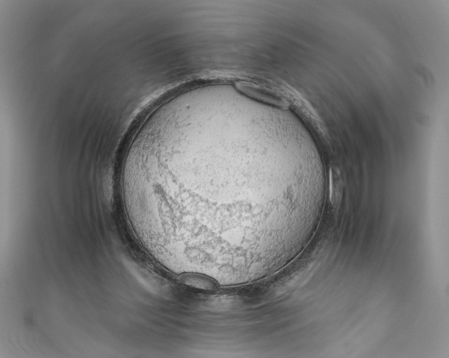 X0000111030204200907161331