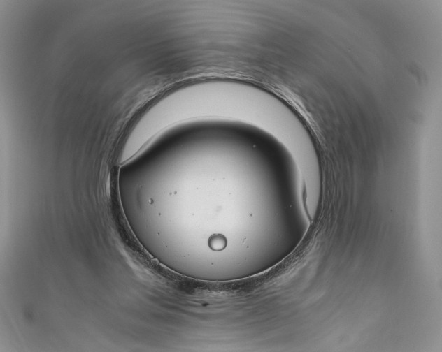 X0000111030205200907161331