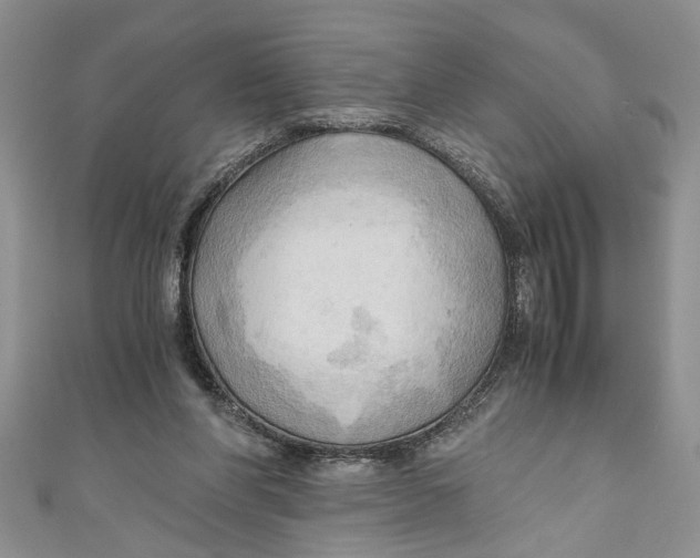 X0000111030206200907161331