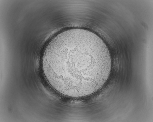 X0000111030208200907161331