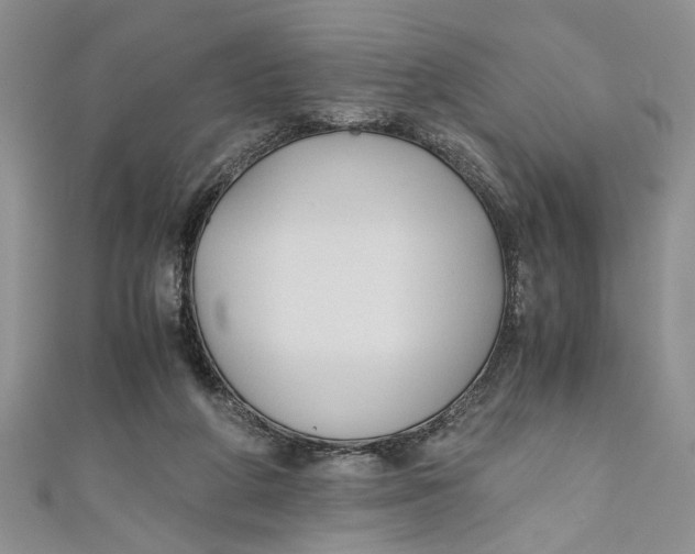 X0000111030210200907161331