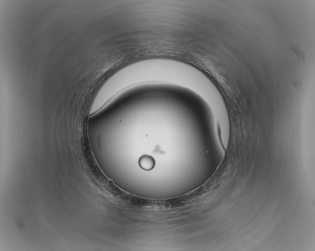 X0000111030211200907161331