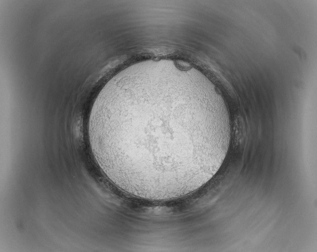 X0000111030212200907161331