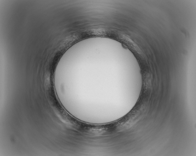 X0000111030213200907161331