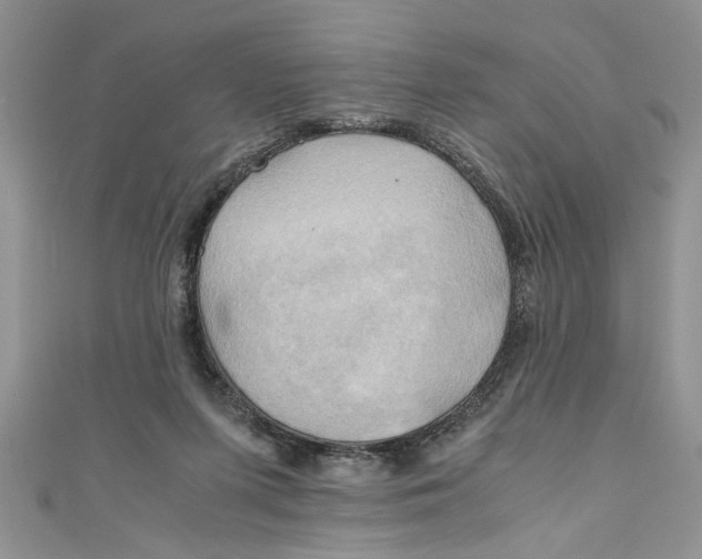 X0000111030215200907161331