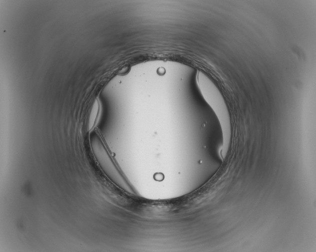 X0000111030217200907161331