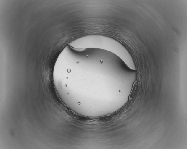 X0000111030219200907161331