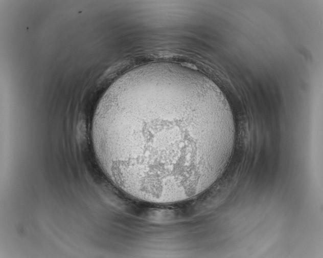 X0000111030220200907161331