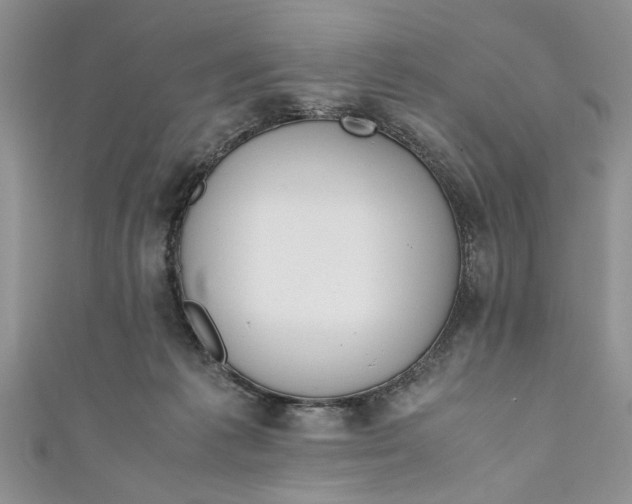 X0000111030221200907161331