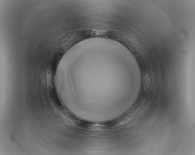 X0000111030222200907161331