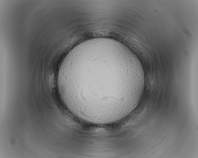 X0000111030224200907161331