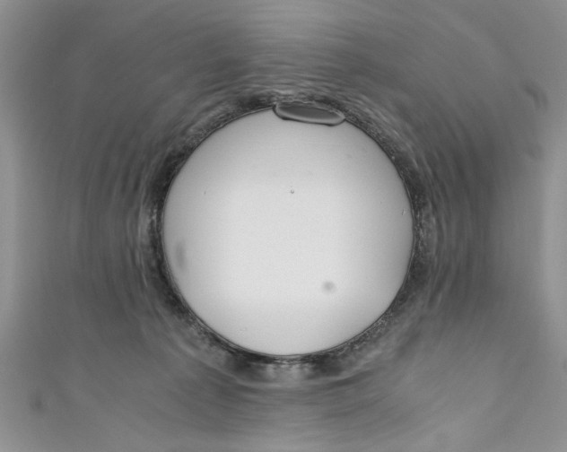 X0000111030225200907161331