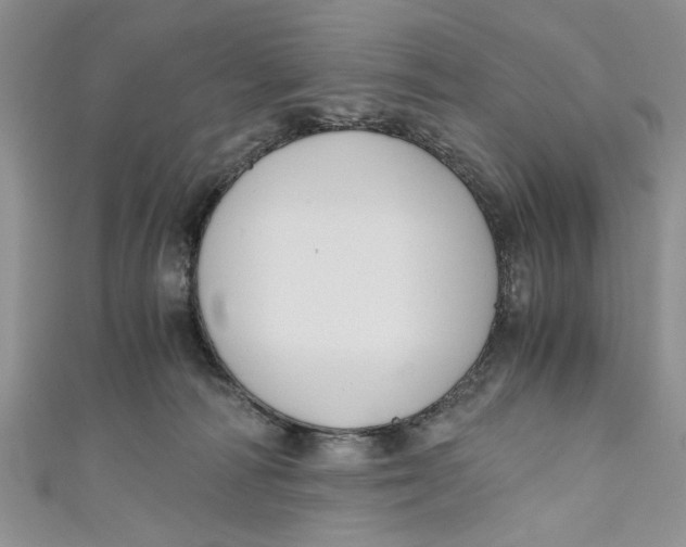 X0000111030226200907161331