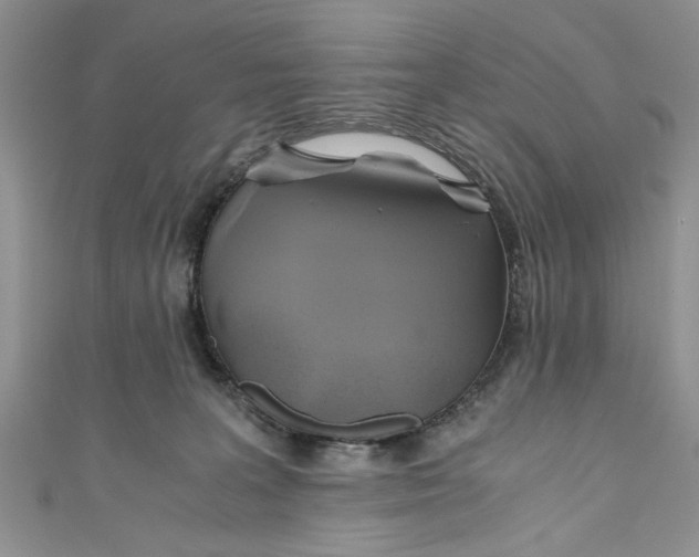 X0000111030227200907161331