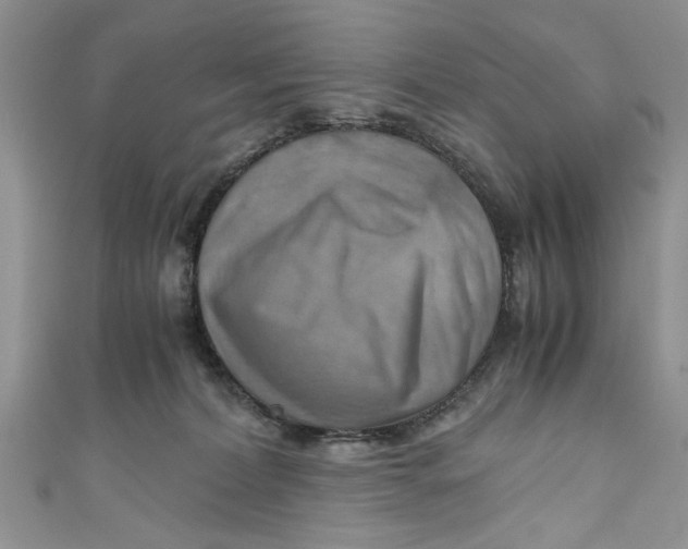 X0000111030228200907161331