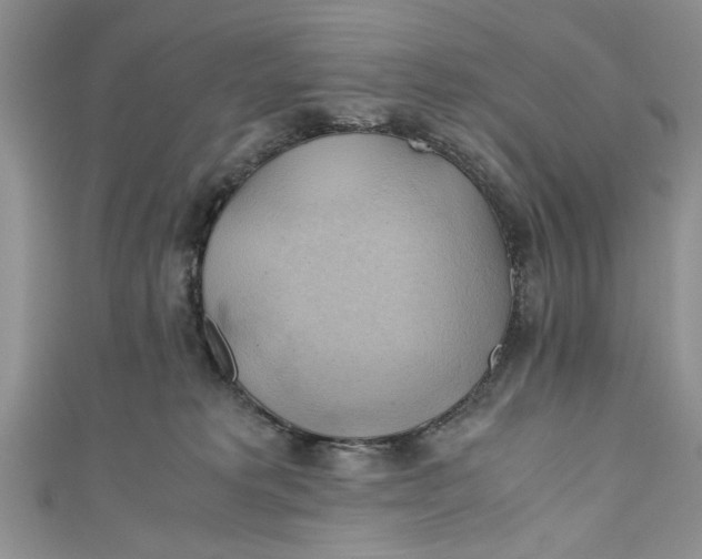 X0000111030229200907161331