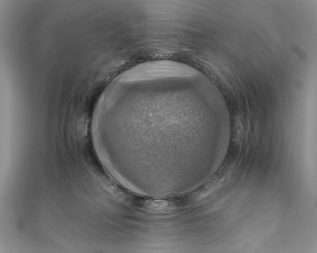 X0000111030230200907161331