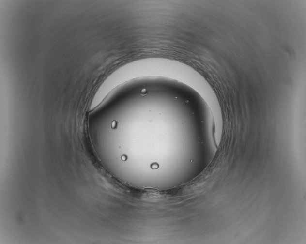 X0000111030231200907161331