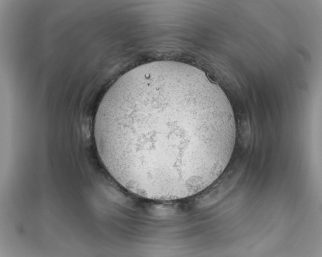 X0000111030232200907161331