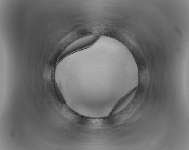 X0000111030233200907161331