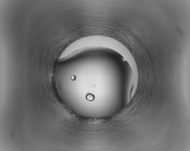 X0000111030235200907161331