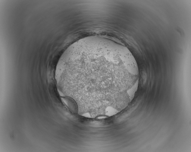 X0000111030236200907161331