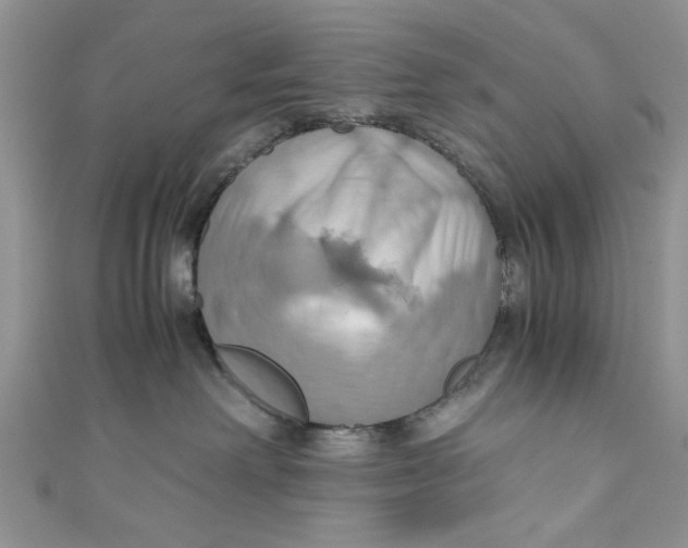 X0000111030238200907161331