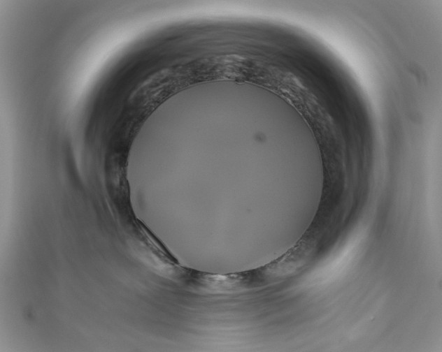 X0000111030239200907161331