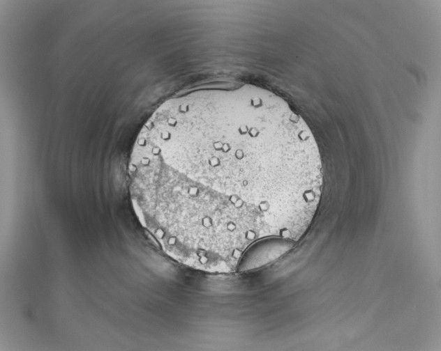 X0000111030240200907161331