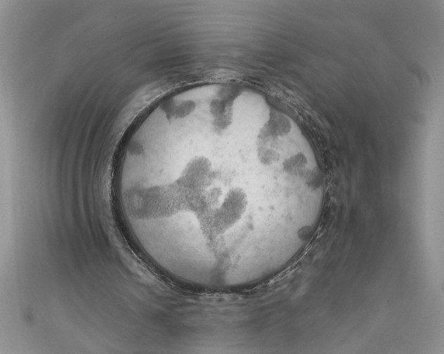 X0000111030242200907161330