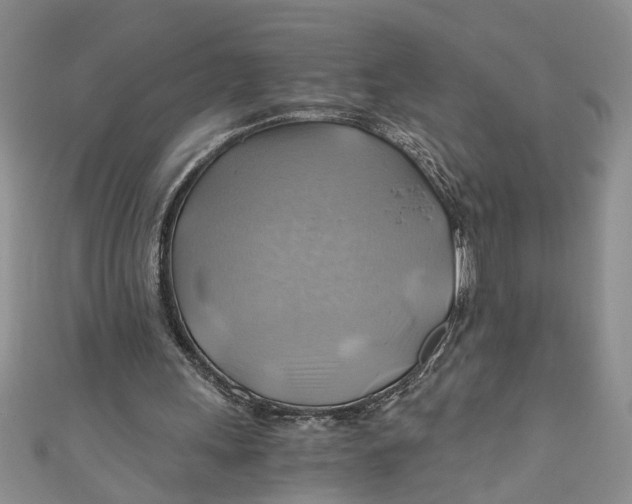 X0000111030243200907161330