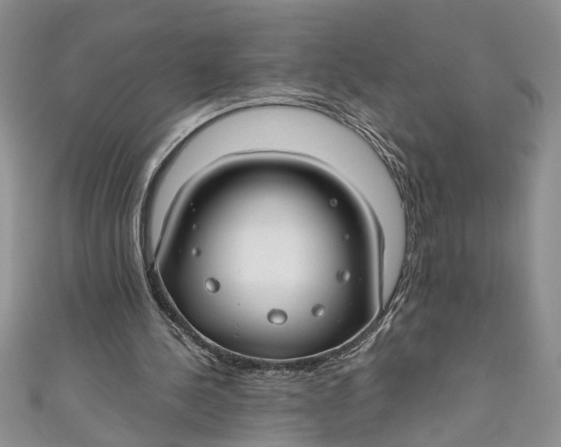 X0000111030244200907161330