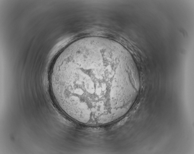 X0000111030245200907161330