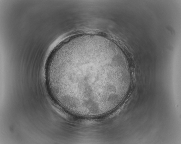 X0000111030246200907161330