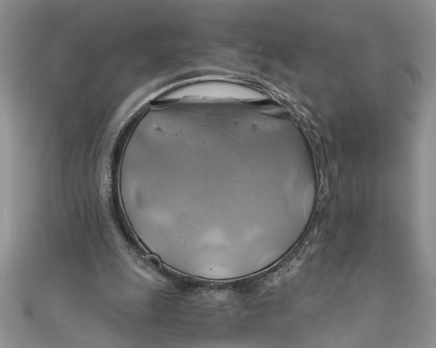 X0000111030247200907161330