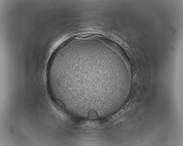 X0000111030248200907161330