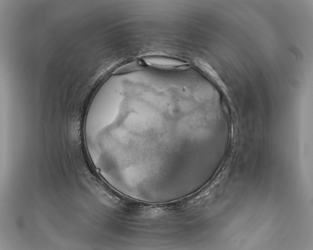 X0000111030249200907161330