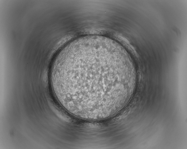 X0000111030250200907161330