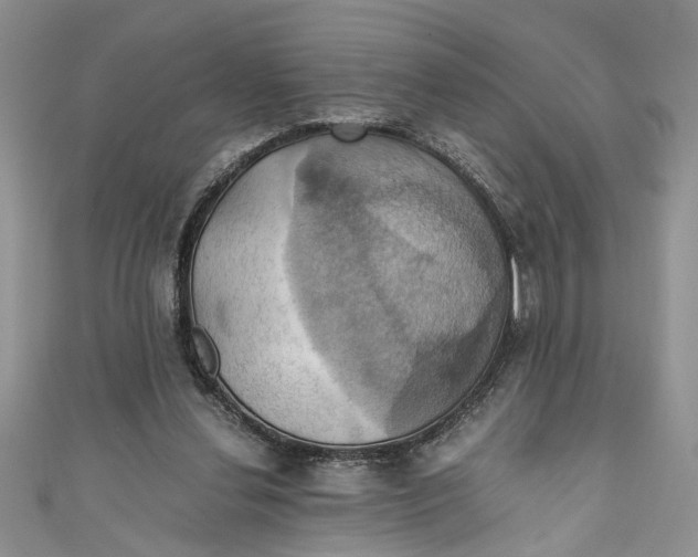 X0000111030252200907161330