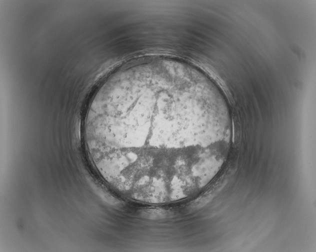 X0000111030253200907161330