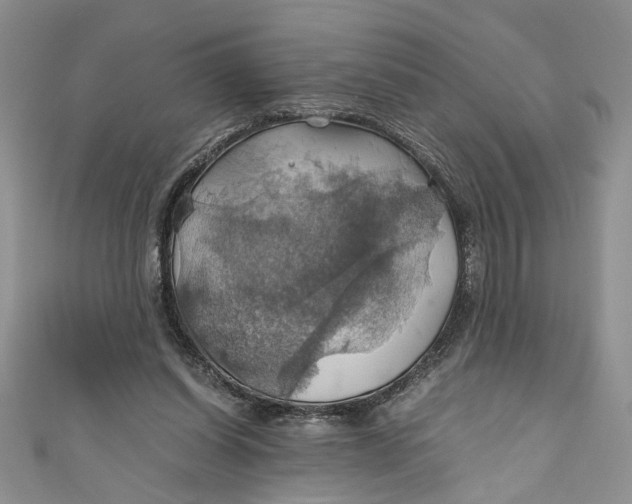 X0000111030254200907161330