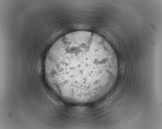 X0000111030255200907161330