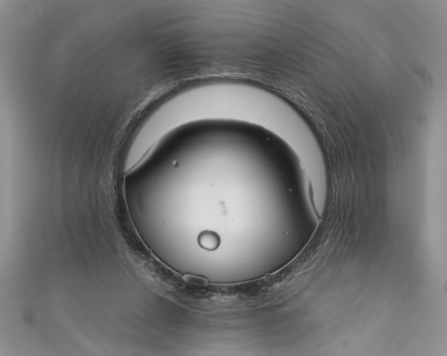 X0000111030256200907161330