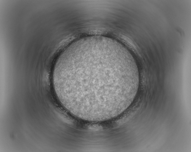 X0000111030258200907161330