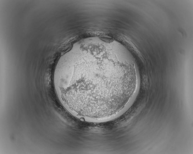 X0000111030259200907161330