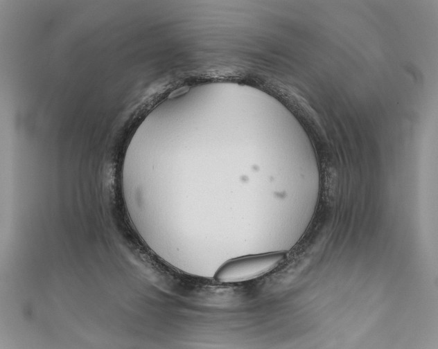 X0000111030260200907161330